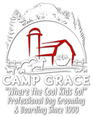 Camp Grace "Where the Cool Kids Go!" Professional Dog Grooming and Boarding Since 1999